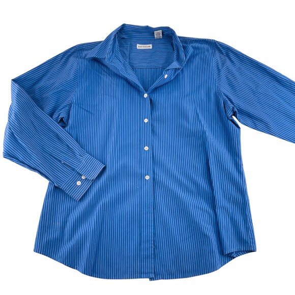 Ann Taylor Womens Blue Striped Button-Up Long Sleeve Shirt Size L Cotton - Picture 1 of 4